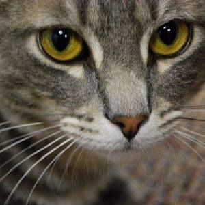 Meet your Posher, Debra